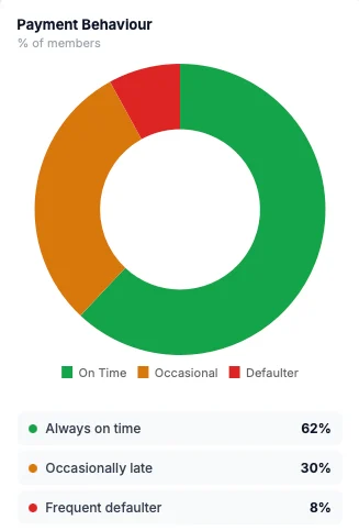 Payment Behaviour
